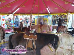 Albi-2012-79