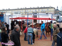 Argentan-printemps-2012-12