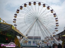 Belfort-2012-81
