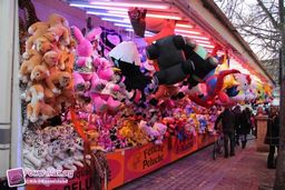 Calais-2012-8
