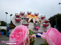 Gratentour-2012-32