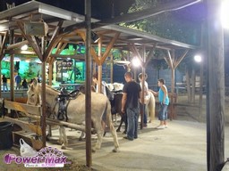 Gruissan-Pirat-Park-2012-44