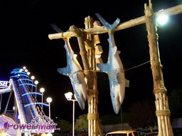 La-Palmyre-2012-71