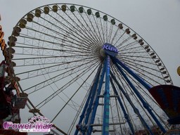 Munster-2012-11