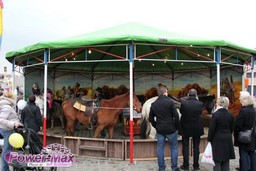 Ninove-Bel-2012-21