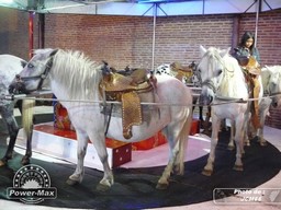 Pamiers-2012-76