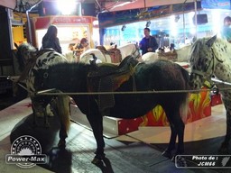 Pamiers-2012-77