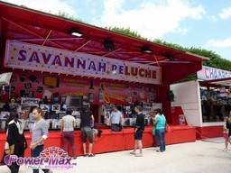 Paris-Tuileries-2012-32