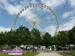 Paris-Tuileries-2012-8