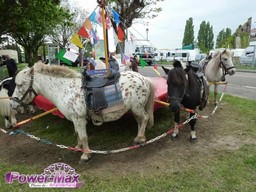 Plessis-Pate-2012-2