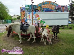Plessis-Pate-2012-37