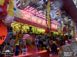 Lyon-2013-31