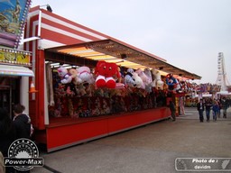 arras-2013-11