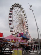 arras-2013-34