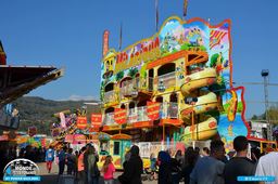 Albertville-2014-11