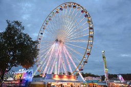 Bordeaux-Octobre-2014-23