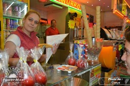 Castanet-Tolosan-2014-243