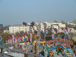 Dijon-2014-43