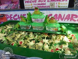 Marolles-En-Hurepoix-2014-21