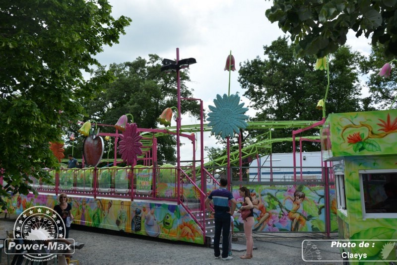 Saint-Orens-de-Gameville-2014-85