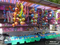 Saint-Vincent-De-Tyrosse-2014-17