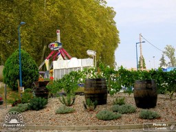 Verdun-sur-Garonne-2014-58